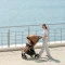 Прогулочная коляска CARRELLO Bravo CRL-8512PU grape black /1/